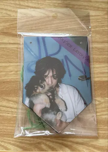 BTS V 연탄 플래그 가랜드