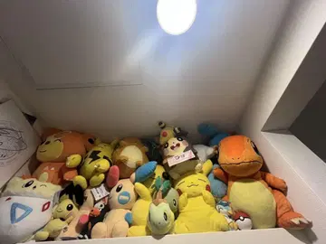 포켓몬 봉제 인형 세트