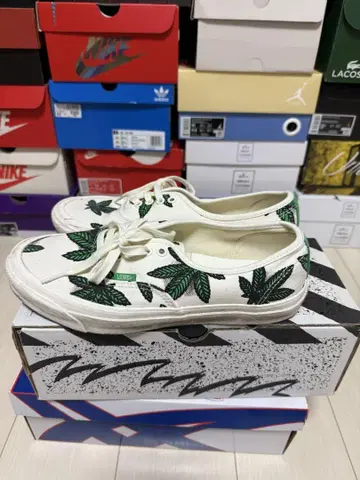 반스 og Authentic LX