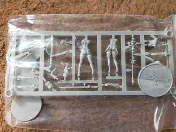 킹덤 데스 미니 뮤어 사탄 트윈즈 KINGDOMDEATH