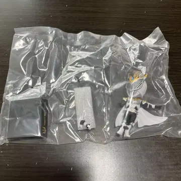 가면라이더 류우키