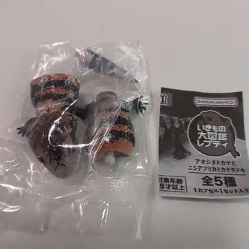 아오지타도마뱀 노멀 생물대도감 레프티 미개봉 새상품