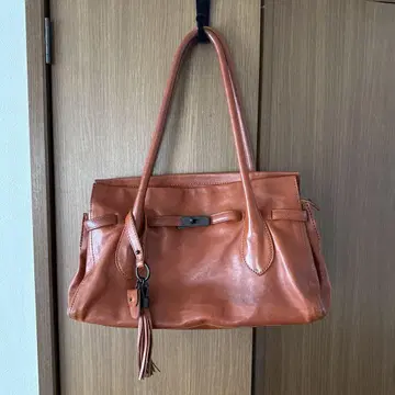 Dakota 애리조나 토트백