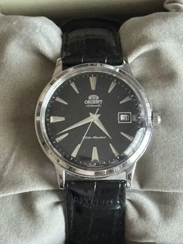 ORIENT Bambino 밤비노 오토매틱 기계식