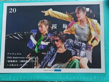 안주르무 핑포스20