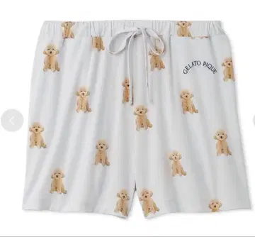 새상품 젤라또피케 DOG 패턴 숏팬츠 토이 푸들
