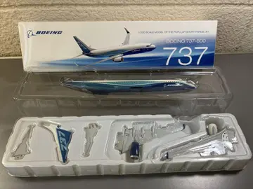 Hogan Boeing737-800 1/200