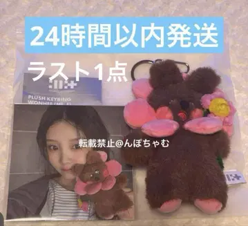 ILLIT plush keyring 키링 봉제 인형 원희 새상품