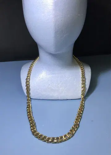 Accessocraft N.Y.C 2 롱 체인 목걸이