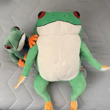 아카메 청개구리 봉제 인형