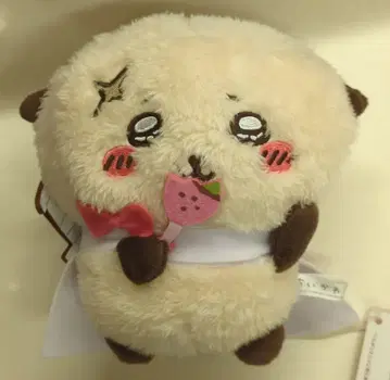 후류 랏코와 함께 봉제 인형 치이카와 (먼작귀)