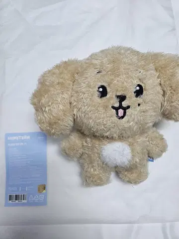 MINITEEN 팝업 PLUSH TOY 봉제 인형 도겸