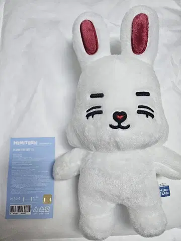 MINITEEN 팝업 PLUSH TOY 봉제 인형 에스크스프