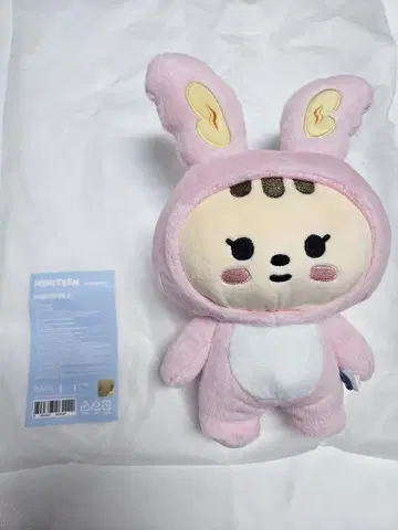 MINITEEN 팝업 PLUSH TOY 봉제 인형 정한