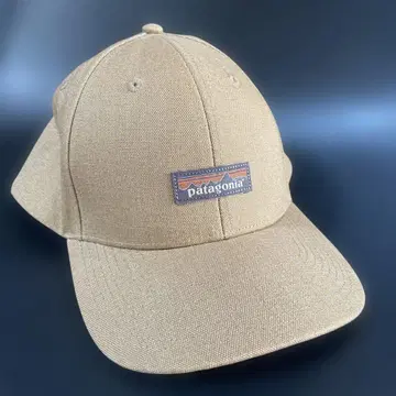 Patagonia 캡