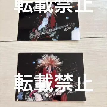 X JAPAN hide 요코스카 사벨 타이거 사진 2장