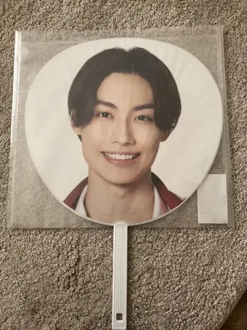 히야마 코세이 개인 부채