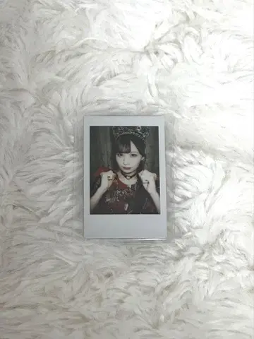 다치바나 코토미 폴라로이드