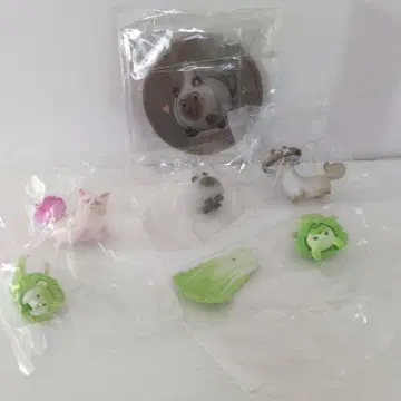 야채 요정 캡슐 토이 5개 세트