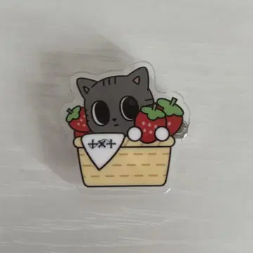 TXT 뿔바투 아크릴 배지 후쿠오카 딸기 다고냥