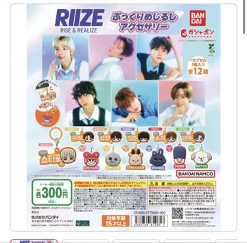 RIIZE 통통 메지루시 액세서리 전 12종 세트