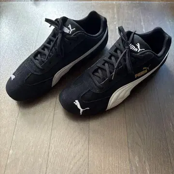 SpeedCat LS