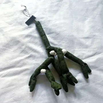 발끝으로 걷기 잣나무