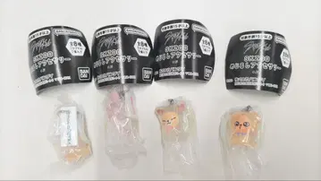 StrayKids SKZOO 가샤폰 메지루시 액세서리