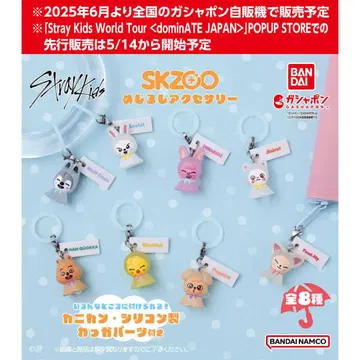 SKZOO 스키즈 메지루시 액세서리 전 8종 컴프