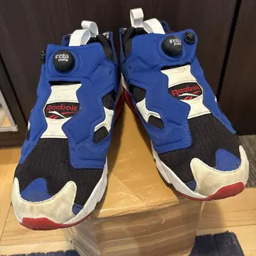 리복 인스타펌프 퓨리