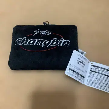 Stray Kids changbin 패스 케이스 포토 카드 포함