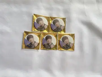우라시마사카타센 시마 실사 캔뱃지
