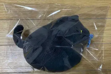 부루부루! 크레용 크레용 봉제 인형