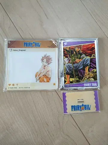 페어리 테일 FAIRYTAIL 나츠 세트