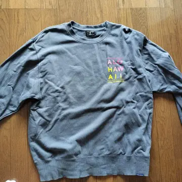 LOCAL MOTION ALOHA HAWAII 맨투맨 그레이 T