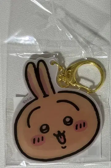 치이카와 (먼작귀) 토끼 외출이 즐거워! 렌티큘러 아크릴 키링