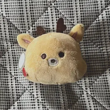 [공식] RIIZE 성찬 팬미팅 굿즈 인형 배지
