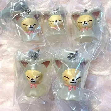 SKZOO 메지루시 액세서리 폭시니 5세트