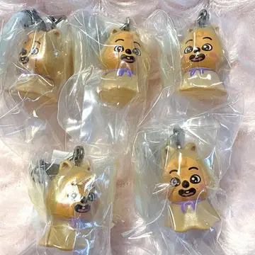 SKZOO 메지루시 액세서리 한쿼카 5개 세트