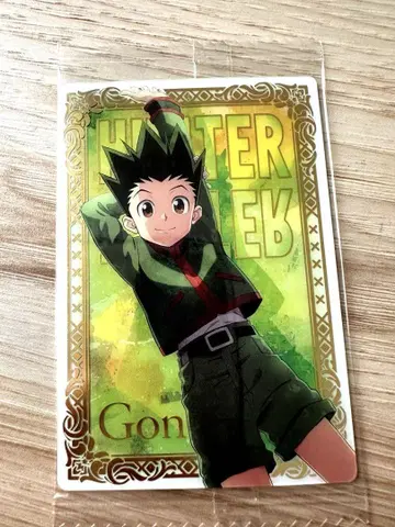 HUNTER x HUNTER 헌터헌터 이타자카 곤 SP 21