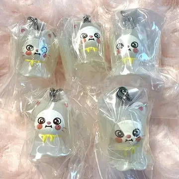 SKZOO 메지루시 액세서리 지니레토 5개 세트