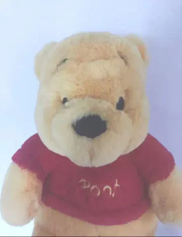 디즈니 곰돌이 푸 봉제 인형