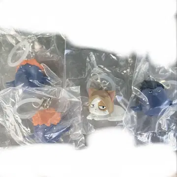 하이큐 애니멀 흔들흔들 마커 히나 유리 카게 유리 켄마네코