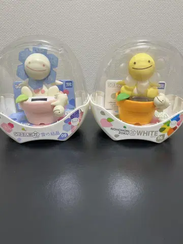 노호혼족 꽃 눈의 결정 화이트 세트 레어