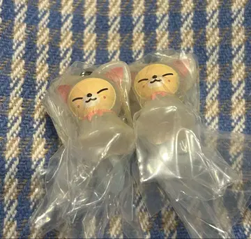 skzoo 가챠 폭시니