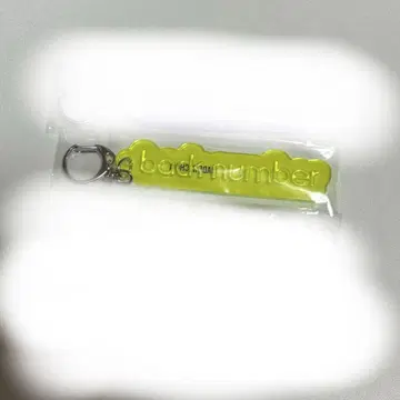 back number 랜덤 PVC 리플렉터 키링