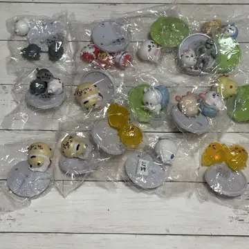 치이카와 초코사프