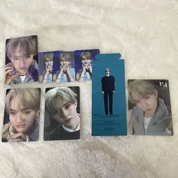타지마 쇼고 세트