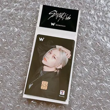 Stray Kids WOWPASS(와우패스)
