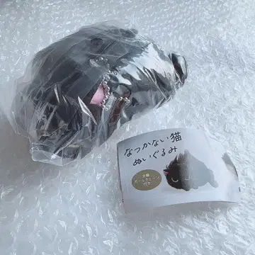 낯을 가리는 고양이 봉제 인형 가챠가챠